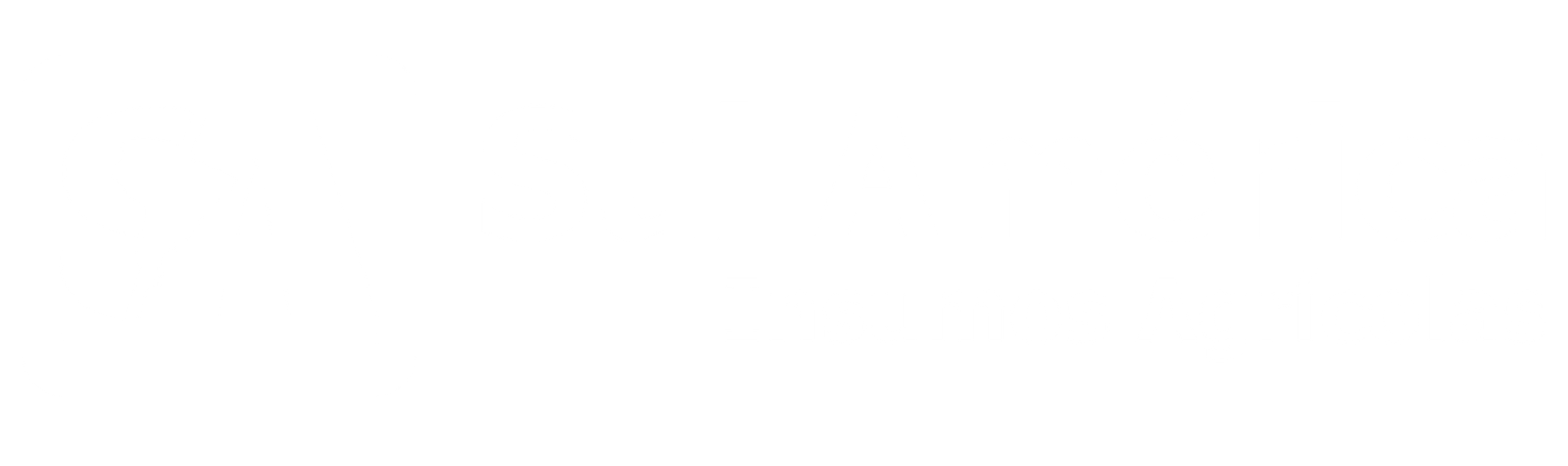 Sul América Insumos Agrícolas