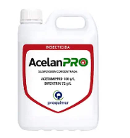 Acelan Pro