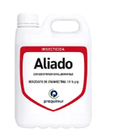 Aliado