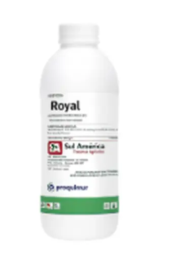 Royal