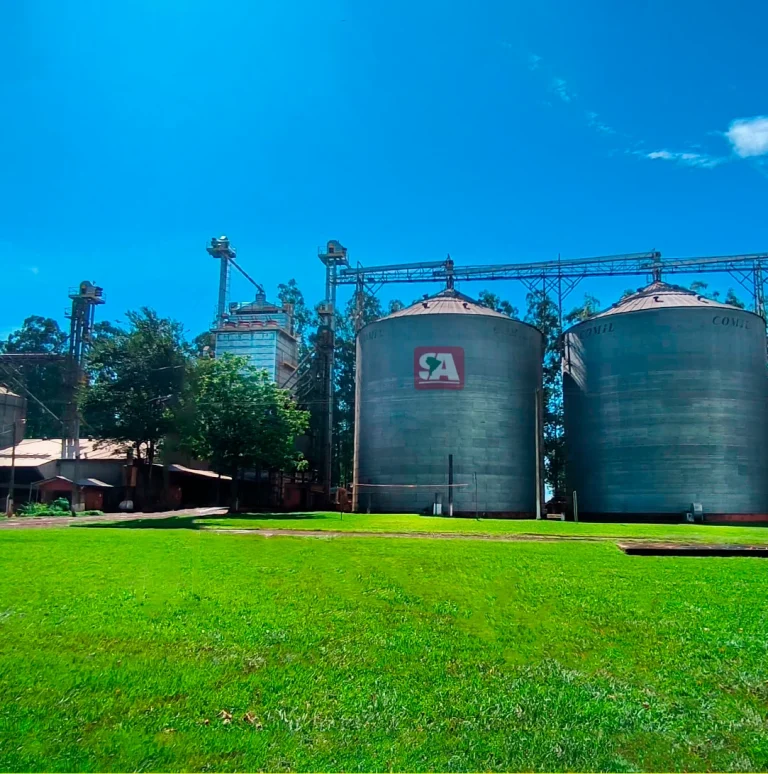 Instalaciones de Sul América — Cruce Iruña - Silo DAPSA