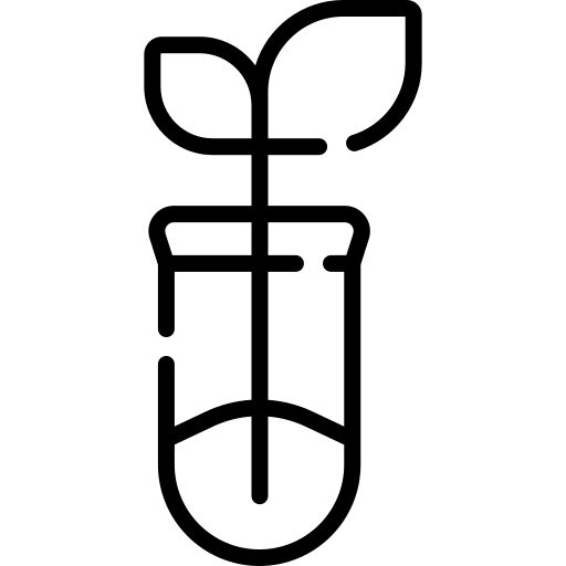 Tratamiento de semillas